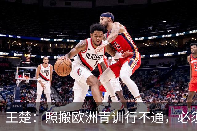 王楚：照搬欧洲青训行不通，必须培养出有自主决策能力的球员